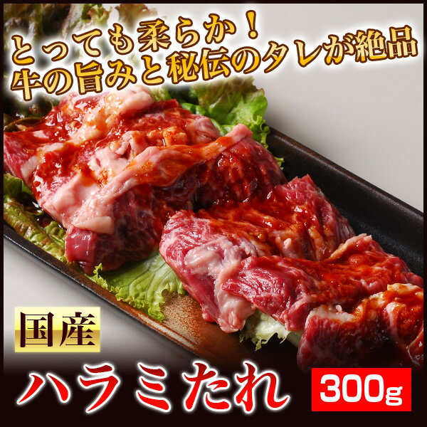 今BBQシーズンで注文殺到中！注文時に新鮮カットし味付け！バーベキューシーズンで今売れてます！超やわらか！国産牛の旨みと特製ホルモンたれの絶妙絶品！国産牛ホルモン専門卸店の秘伝ホルモンたれ味　国産牛ハラミ・サガリ　300g 02P06jul10【YDKG-k】卸価格で超お買い得！【希少品】お買い物マラソンセール お花見　BBQ バーベキュー