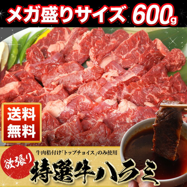 あす楽対応 特選 牛ハラミ サガリ 600g(200g×3) 新鮮 やわらか たれハラミo…...:horumonnet2911:10000074