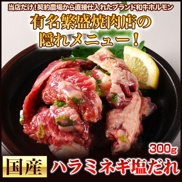 今BBQで注文殺到中！注文時に新鮮カットし味付け！バーベキューシーズンで全国から注文殺到中！店長おすすめ！在庫があればぜひ！旨すぎ！有名繁盛焼肉店の隠れメニュー！秘伝ネギ塩だれ！国産牛ハラミ・サガリ【味付け】300g 02P06jul10バーベキューシーズンで今売れてます！希少国産牛ハラミとたれが抜群！お買い物マラソンセール お花見　BBQ バーベキュー