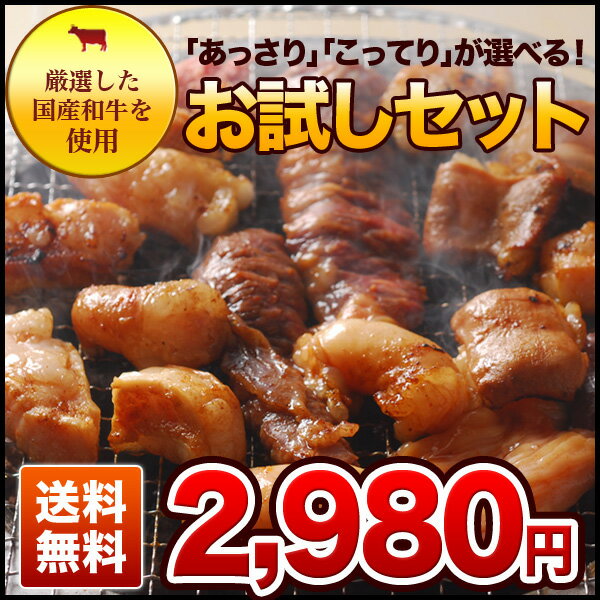 BBQで注文殺到中！今なら上ハラミ増量！和牛上ホルモンお試しセット【特製調味料付】【sm15-17】