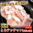 宮崎県産 黒毛和牛 とろける 大トロ テッチャン 脂付 シマ...