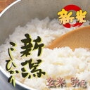 農薬使用5割以上削減。安心して食べられるお米平成21年産 新潟産コシヒカリ 特別栽培米 5kg 05P26apr10