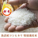 【送料無料】平成22年産 魚沼産コシヒカリ 特別栽培米 30kg(10kg×3) 【smtb-TK】 【fs_hokushinetsu_1207】 【sale_hokushinetsu_1207】