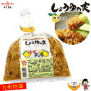 醤油の実(柚子入り)【ご飯のお供】≪九州特選★しょうゆの実 ゆず入り 450g≫食べるラー油の次はコレ!スマステ、スッキリで紹介!ご飯がススム美味しさ♪【柚子入り】【九州・熊本の老舗醤油屋ホシサン】ごはんのお供 もろみ