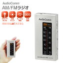 ポケットラジオ ラジオ ミニ 携帯ラジオ AM/FM ワイドFM対応 ライターサイズラジオ ミニラジオ 片耳イヤホン付き 小型 乾電池式 モノラル 防災グッズ 通勤 オーム電機