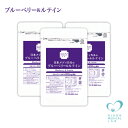 日本メディカルのブルーベリー&ルテイン【北欧産ビルベリー100%】【送料無料】1ヵ月分30粒入×3袋【関連】サプリ/サプリメント/無添加
