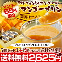 送料無料2,625円！濃厚！最高級 神技マンゴープリン130g×5個入 お得セット！完熟糖度の高い「アルフォンソマンゴー」を業界最高!?65％配合！御中元などの ギフト プレゼントにも♪※あす楽対応【RCPmara1207】