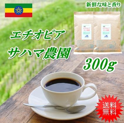 ◆エチオピア・モカ　サハマ農園 　300g 【メール便送料無料】...:hot:10000891