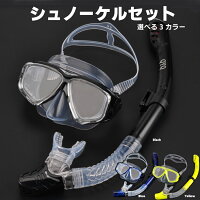 シュノーケルセット 水中メガネ 硬化ガラス シュノーケリング ダイビングマスク 大人用 DMS99の画像
