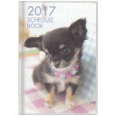 値下げ商品 16年9月始まり 2017年スケジュール帳 月間 B6 チワワ いぬ 犬 16年9月〜17年12月 手帳 【17ys】