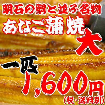 焼きあなご（蒲焼き）大明石の鯛と並ぶ名物焼き穴子...:hourai:10000426