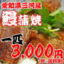 愛知県三河産鰻うなぎ蒲焼一匹