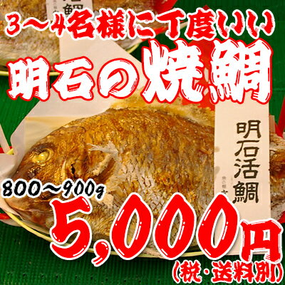 焼鯛3〜4名さま位の大きさ＜焼き鯛7月下旬発送分＞【長寿のお祝い・お食い初め祝膳に焼き鯛】...:hourai:10000440