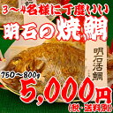 焼鯛3〜4名さま位の大きさ年末【到着日指定】