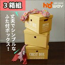 収納ボックス 収納ケース 収納ボックス フタ付き おしゃれ ダンボール 貼箱 お洒落 引き出し 押し入れ収納 収納棚 折りたたみ 収納box 小型 衣類 DVD 小物 文具 整理整頓 子供部屋 ベッド下 丈夫 ストレージボックス 小物収納ケース 整理箱 マジックボックス イラスト付き