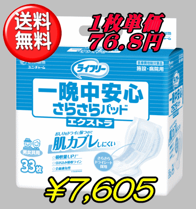 Ct[ ӒS炳pbhGNXg(33~3P) 1P[X [jE`[ lpIc lp ނ lpނ]