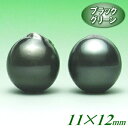 黒蝶真珠ペアルース(12.0~11.5mm×13.0~12.5mm/ブラックグリーンカラー)