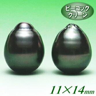 黒蝶真珠ペアルース（11.5〜11.0mm×14.5〜14.0mm／ピーコックグリーンカラー）