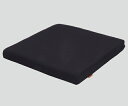 【送料無料】タカノ タカノクッション R ブルー 初めて使用する方用 8-7074-05