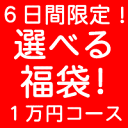 6日間限定 福袋 「幸せいっぱい福袋」 パワーストーン 天然石 BLUECORN 選べる 福袋 1万円コース 10P13Jul11パワーストーン 天然石全商品の中から！お好きな商品が選べます！