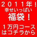 2011年 福袋 「幸せいっぱい福袋」毎年恒例！ パワーストーン 天然石 BLUECORN年末年始限定 選べる 福袋 1万円コースパワーストーン 天然石全商品の中から！お好きな商品が選べます！