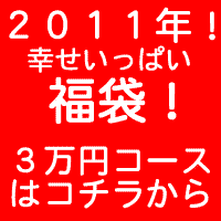 【送料無料】2011年 福袋 「幸せいっぱい福袋」毎年恒例！ パワーストーン 天然石 BLUECORN年末年始限定 選べる 福袋 3万円コース