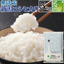 無洗米 新潟県産 コシヒカリ 5kg 30年産 【送料無料】...