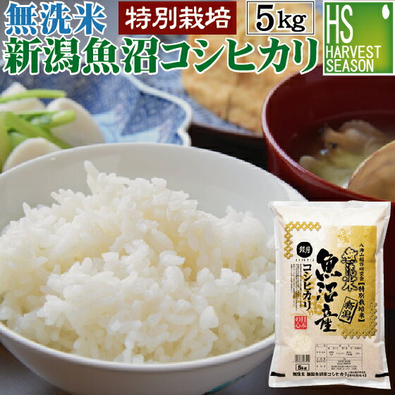 無洗米 特別栽培米 新潟県<strong>魚沼</strong>産<strong>コシヒカリ</strong> 5kg 令和5年産[送料無料] 【あす楽_土曜営業】【食味ランク特A】 [北海道沖縄へのお届けは別途送料760円]【コンビニ受取 コンビニ決済 後払い】