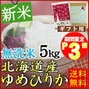 ★期間限定ポイント3倍(11/24AM9:59迄)★[ギフト...