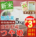 ★期間限定ポイント3倍(11/24AM9:59迄)★[ギフト...