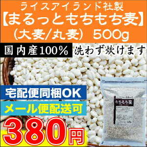 Y100 ܂Ƃ(唞/۔)500g[2܂܂Ń[։/yws][3܈ȏ͑zցBiƓOK/&wOK][kC֑zւ͑1260~][[֑Sꗥ250~]