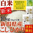 白米 精白米 新米 30年産新潟県産コシヒカリ 10kg(5...