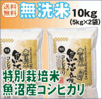 23年産　無洗米特別栽培米　新潟県魚沼産コシヒカリ10kg（5kg×2）