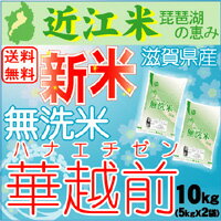 25年産☆送料無料☆無洗米  滋賀県産　華越前（ハナエチゼン）10kg（5kg×2袋）