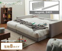 ドリームベッド ※オプション HugmiL2401 ハグミル2401 (アーム+サイドレールのセット) Bランク ドリームベッド dreambed