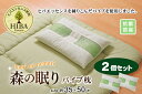 ピロー ヒバエッセンス練り込みパイプ使用 2個組 約35×50cm 寝具 枕 ピロー 2個セット 防ダニ効果 森林浴の眠り パイプ使用