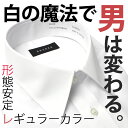 【 形態安定 ワイシャツ 】レギュラーカラー 長袖 無地 ビジネス ドレスシャツ 紳士用 メンズ 男性用 カッターシャツ 結婚式 フォーマル Yシャツ 白 カフス 仕事 大きいサイズ 3L