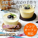 プリンカップ 5個セット 耐熱ガラス レンジ対応 オーブン対応 食洗機対応
