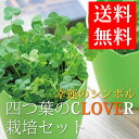 四つ葉のクローバー 栽培セット 栽培キット かわいい 四葉 種 発芽保証付 ガーデニング 観葉植物 キッチンインテリア 母の日 誕生日 ギフト プレゼント