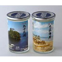 能登杜氏の地酒 松波酒造 「能登の名所カップ2個入×5セット」/やや辛口の本醸造酒が入ったカップ酒