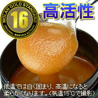 高活性16+