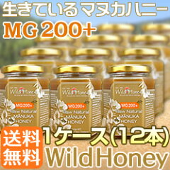ワイルドハニー12本セット