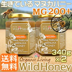 ワイルドハニー2本セット