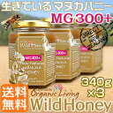 ワイルドハニー MG(MGO)300+ (UMF/