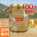 ワイルドハニー MG,MGO 400+(実測460)UMF/MGS12?14+ 高活性PREMIUM 酵素が生きているマヌカハニー・生タイプ 340g【送料無料】
