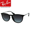 全品ポイント2~最大20倍!4/24 9:59まで Ray-Ban/Rayban/レイバン/サングラス/メンズ/レディースRB4171F 622/8G 54 フルフィット/YOUNGSTER/ヤングスター/ERIKA/エリカ/ブラック プレゼント/ギフト/通勤/通学