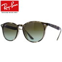 全品ポイント2~最大20倍!4/24 9:59まで Ray-Ban Rayban レイバン サングラスメンズ レディース RB4259F 731/E8 53トータス プレゼント ギフト 通勤 通学 送料無料