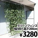 【緑のカーテン】 軒先 日よけ シェード サンシェ