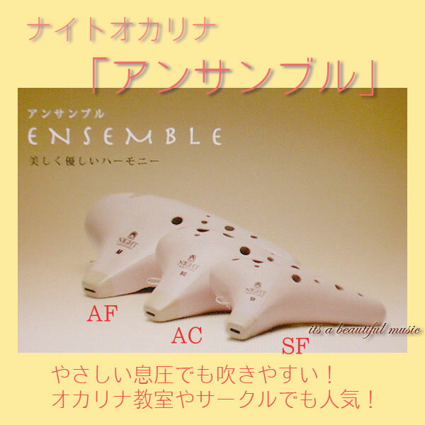 its۽餫ͥʥȥʡ֥󥵥֥ץ꡼SFACAF