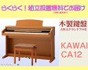 itsۡڤ餯餯̵ֹϤ KAWAI CA12(CA-12)꡼2